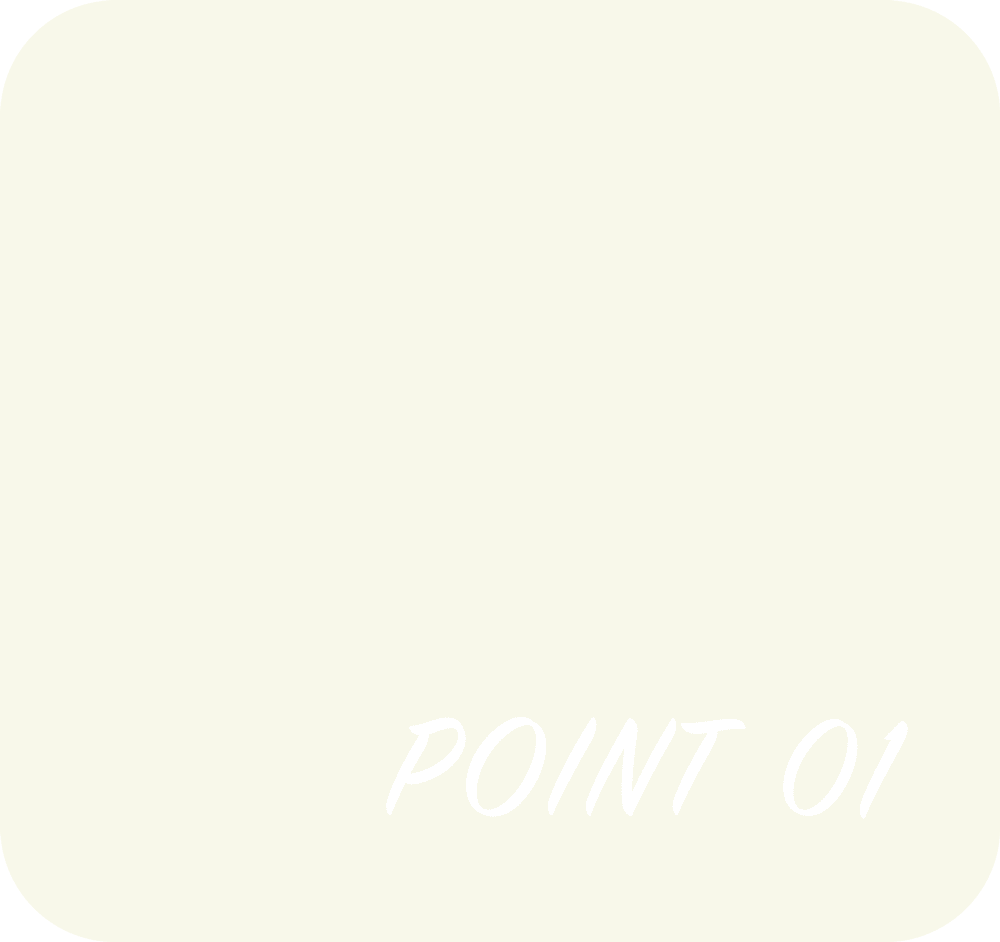 POINT 01